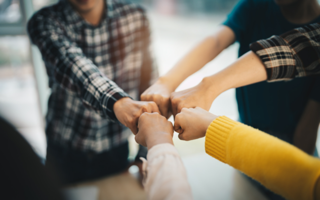 Grants co-funded with the NZ Law Foundation in 2020